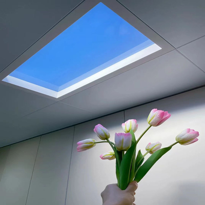 comprar Dirección de la luz 140° Luz luminosa artificial luz del cielo resistente a la intemperie Fuente de alimentación AC100-240V Fabricación en línea