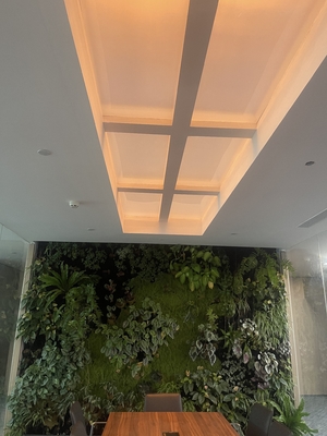 comprar Rectangle Faux Skylight Panels 220mm Highness Customizable Solutions Fabricación en línea