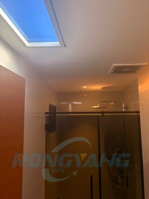 Comprar Gran cielo artificial de 80W con control inteligente de Tuya, DALI y Zigbee Custom OEM Factory Fabricación en línea