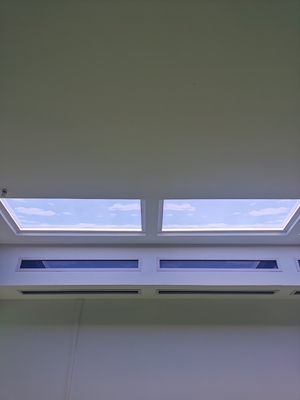 Intensidad 240W Luz blanca Luz artificial LED Gran faro amplia cobertura AC110-230V Fuente de alimentación