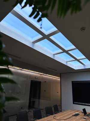 Luz blanca color integrada tragaluz artificial LED 12kg Método de instalación empotrado para uso comercial