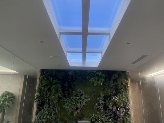 Luz blanca color integrada tragaluz artificial LED 12kg Método de instalación empotrado para uso comercial