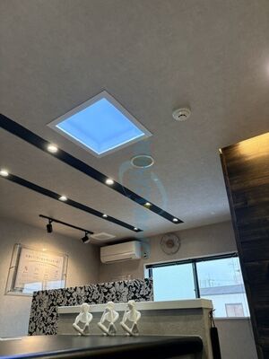 Fuente de alimentación AC100-240V Luzes LED de exterior brillantes La solución de iluminación definitiva para cualquier espacio exterior